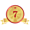 中品建材网